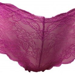 Fine Lace Brief (BF8565)