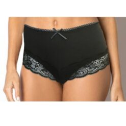 Light Control Brief (BF0494/04)