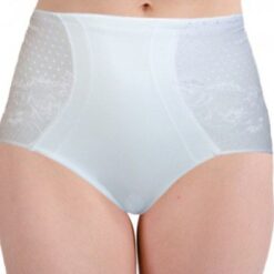 Ladies Lace Panel Control Brief (BF7043)